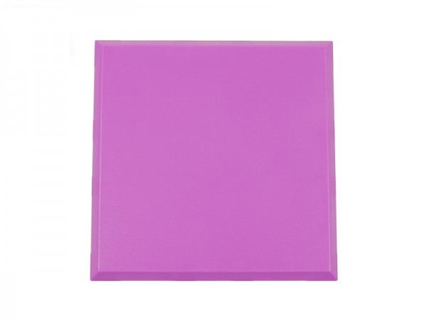 ALLNET Brick&#039;R&#039;knowledge Kunststoffschale 2x2 violett oben und unten 10er Pack