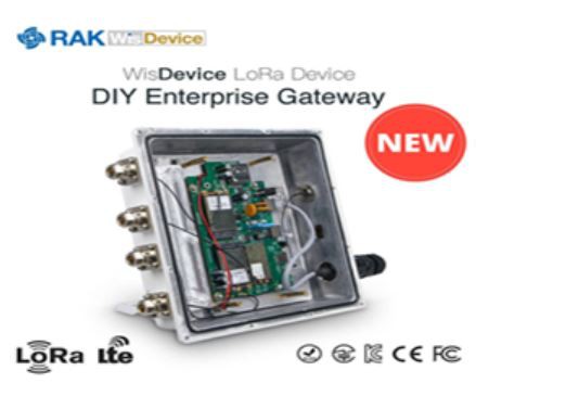 RAK Wireless DIY LoRaWan Outdoor Gateway RAK7249-03 LORA 8 Kanäle 868MHz